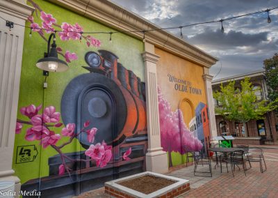 Conyers Georgia Train Mural. Solia Media Image for Smith Farms Kennes